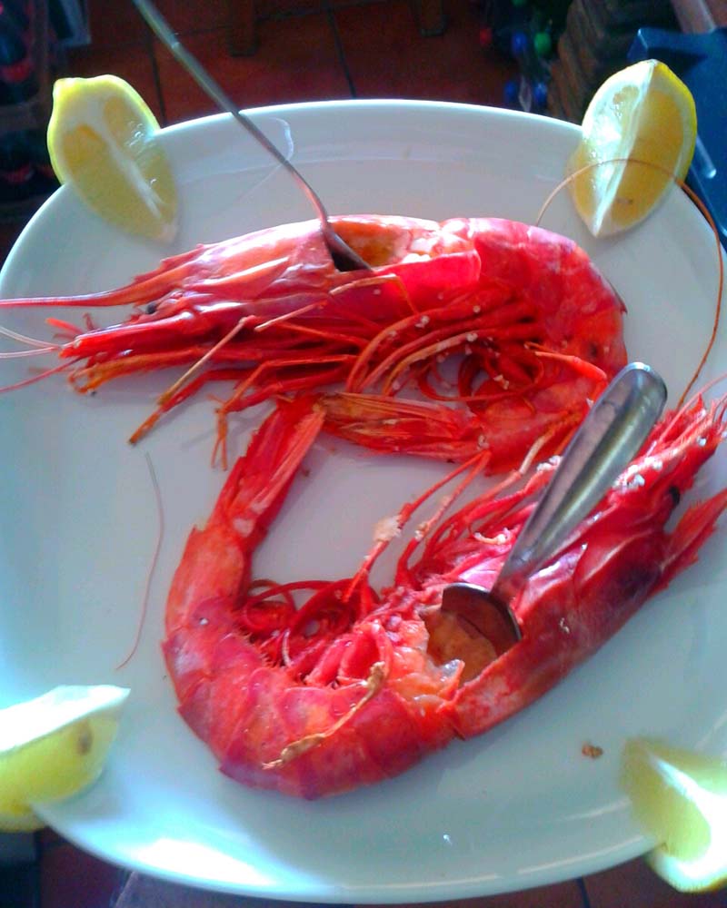 Red King Prawn (approximate unit price)