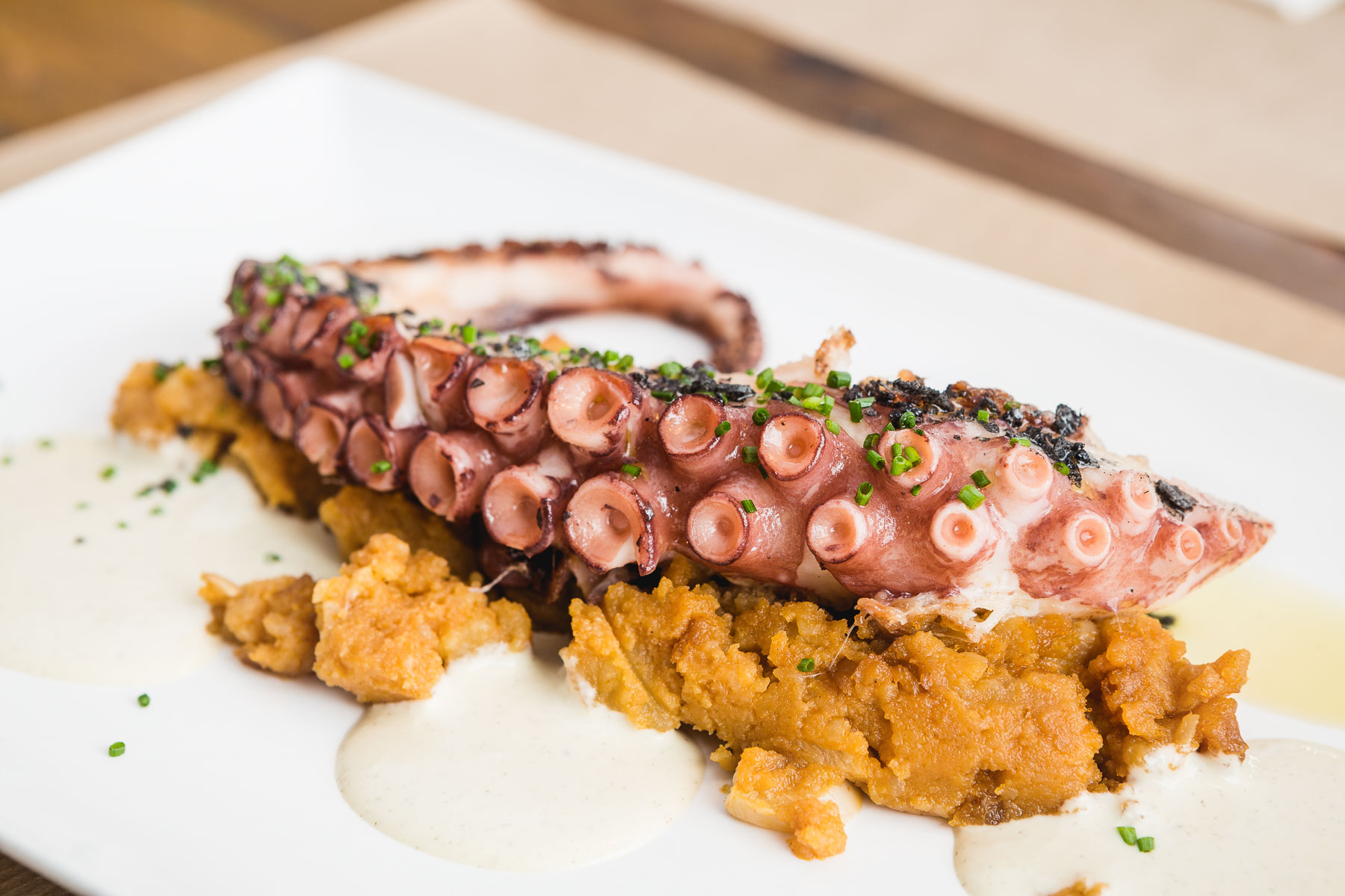 octopus at planch