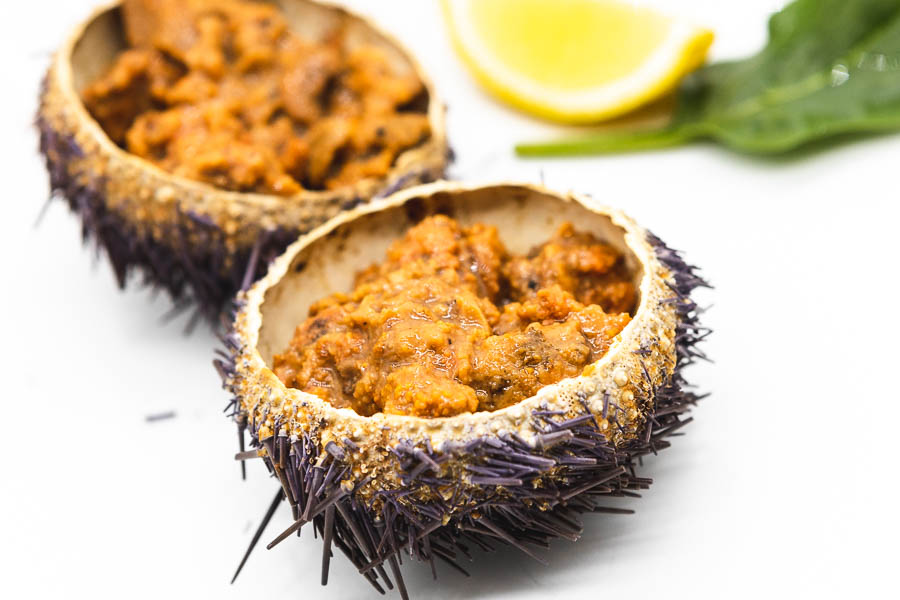 Sea urchin cooked in its shell