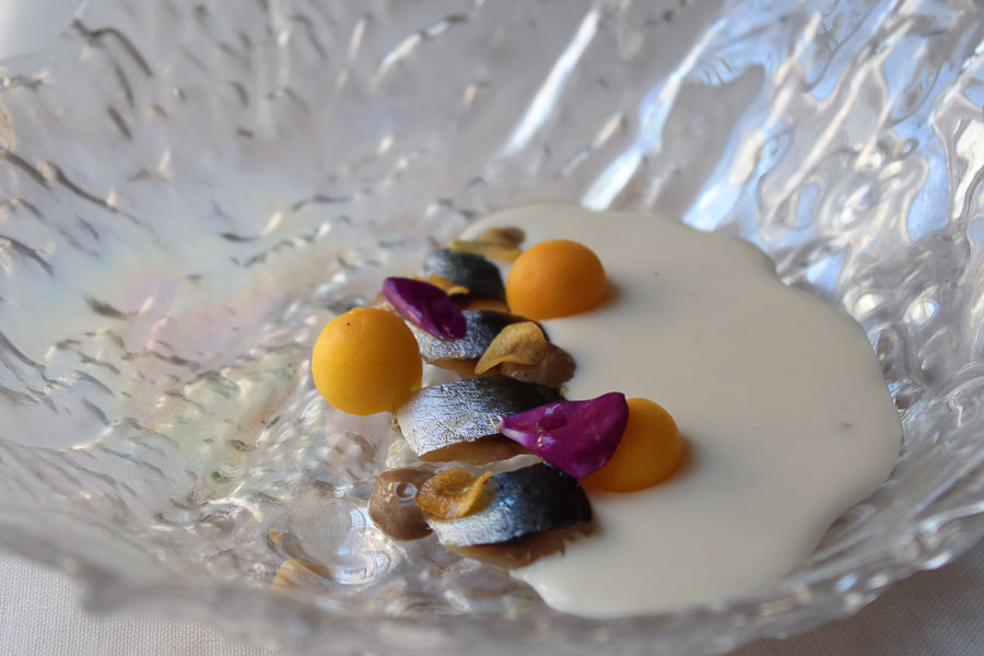 Vichyssoise de almendras, sardina ahumada y mango