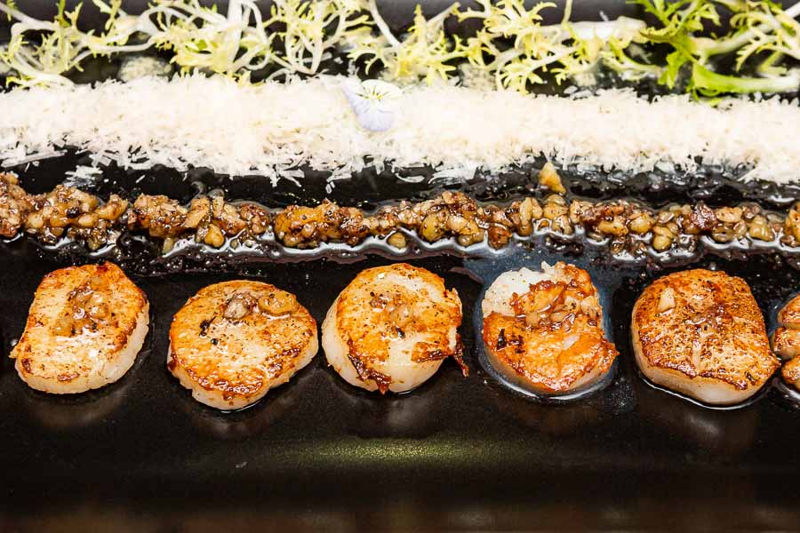 Grilled scallops with parmesan cheese and black truffle
