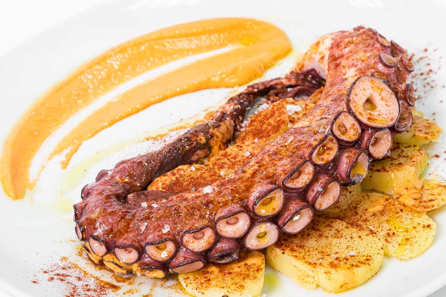 Grilled Octopus Tentacle