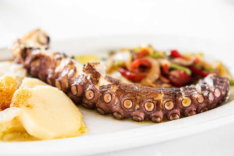 Octopus on the grill
