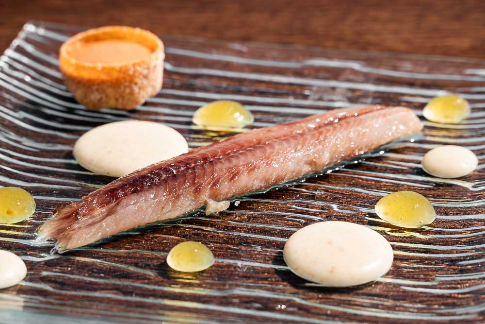 Anchovy from Cantabrian Sea 00