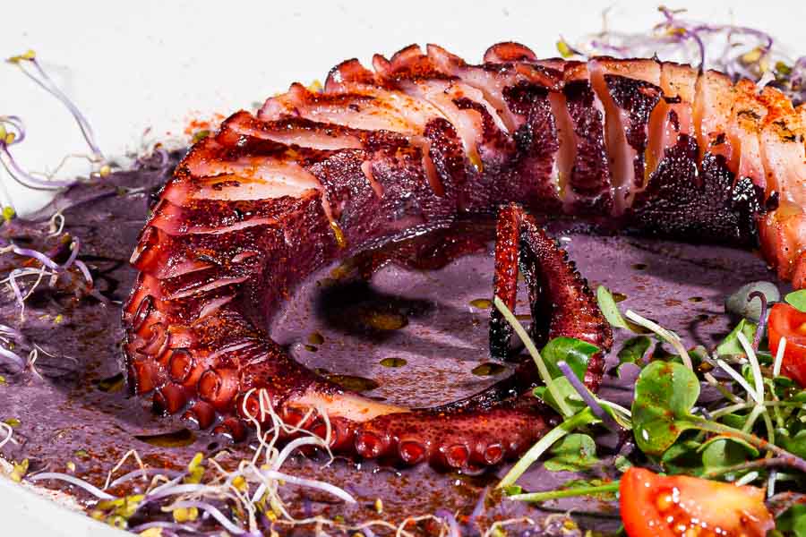 Grilled Octopus 