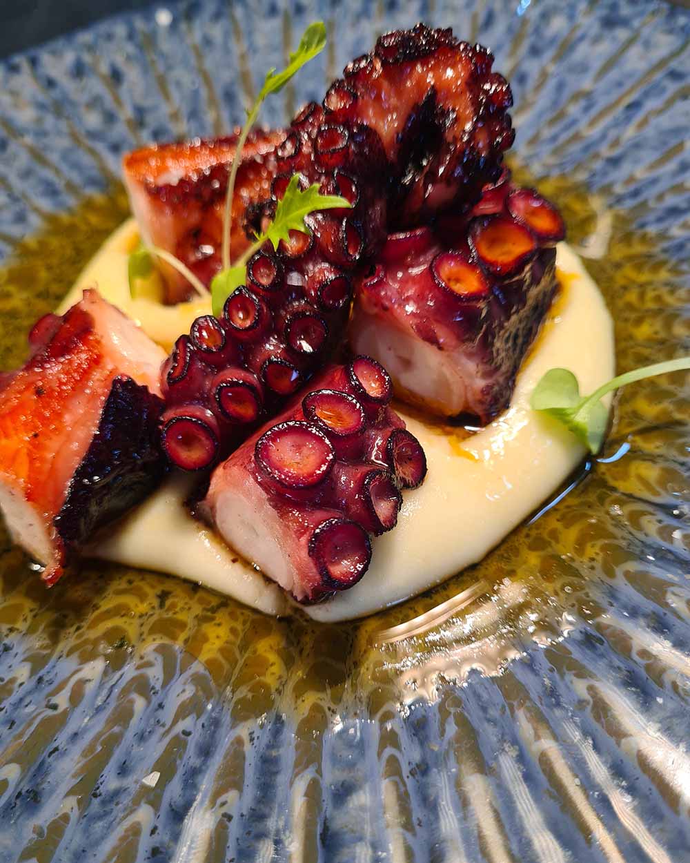 Grilled octopus with creamy puree