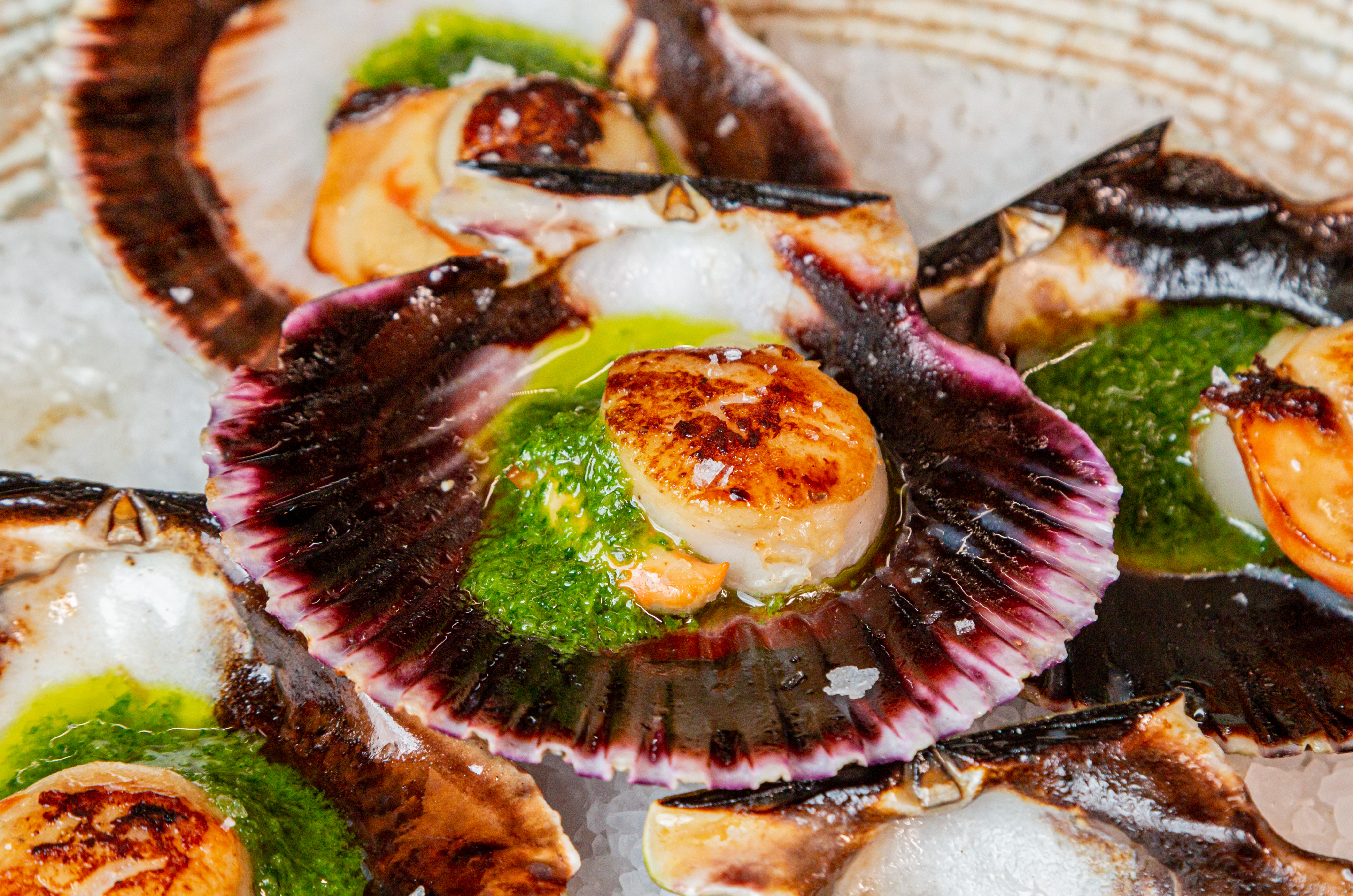 Grilled scallops with garlic