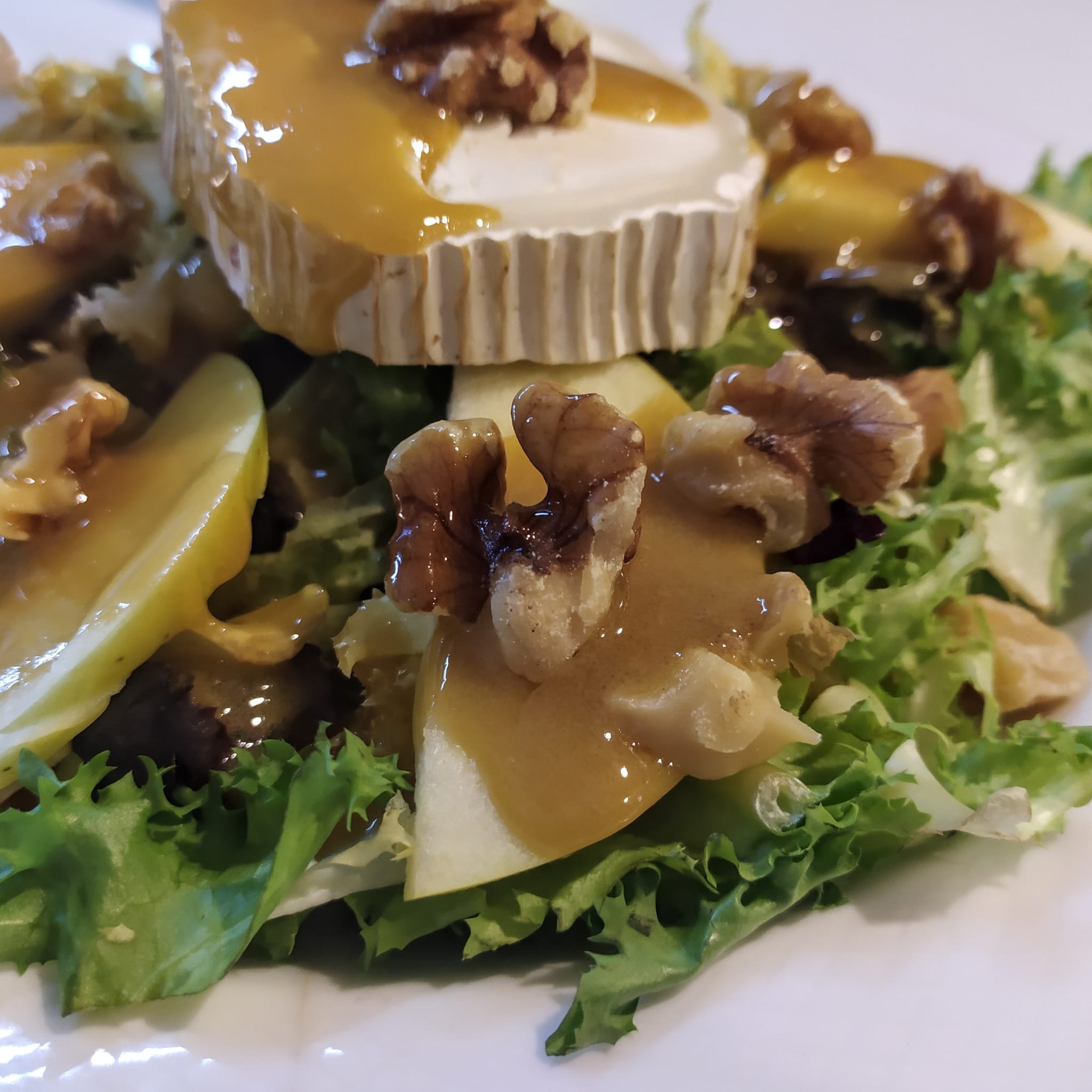 Goat cheesse salad: Lettuce, goat cheese, apple and nuts