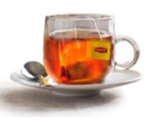 Lipton Rooibos Tea