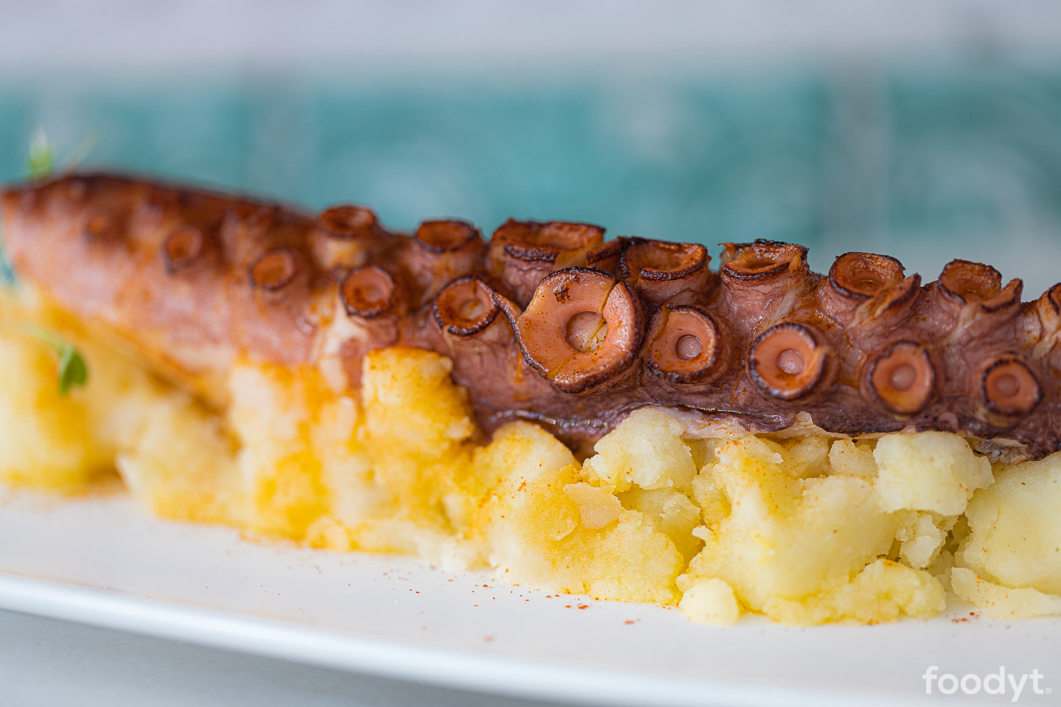 Grilled octopus on potato parmentier
