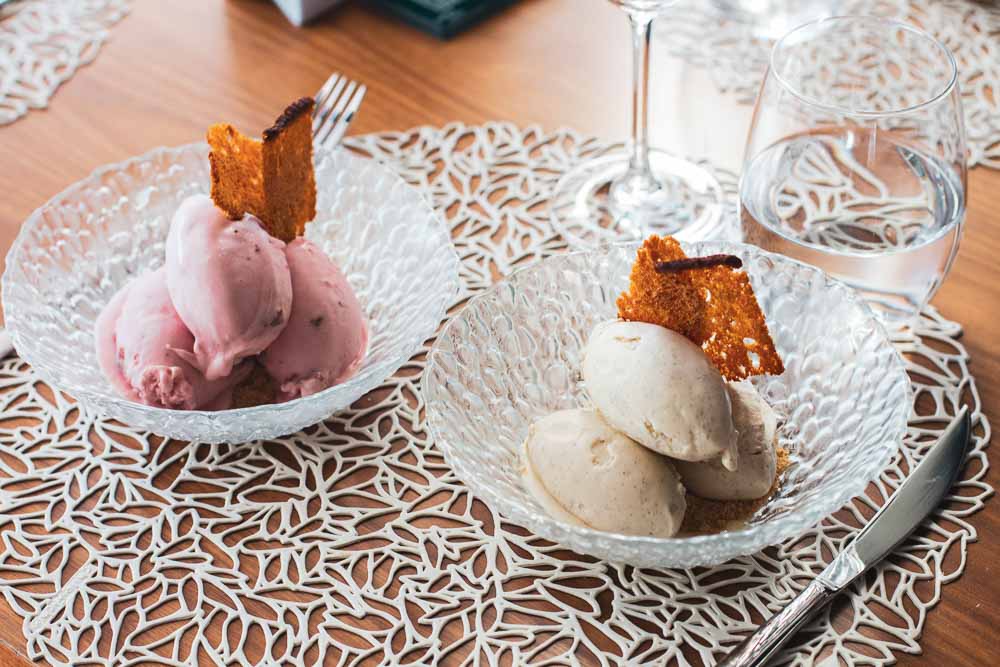 Selected artisan ice-creams: chocolate, strawberry, vanilla and yogurt with blueberries