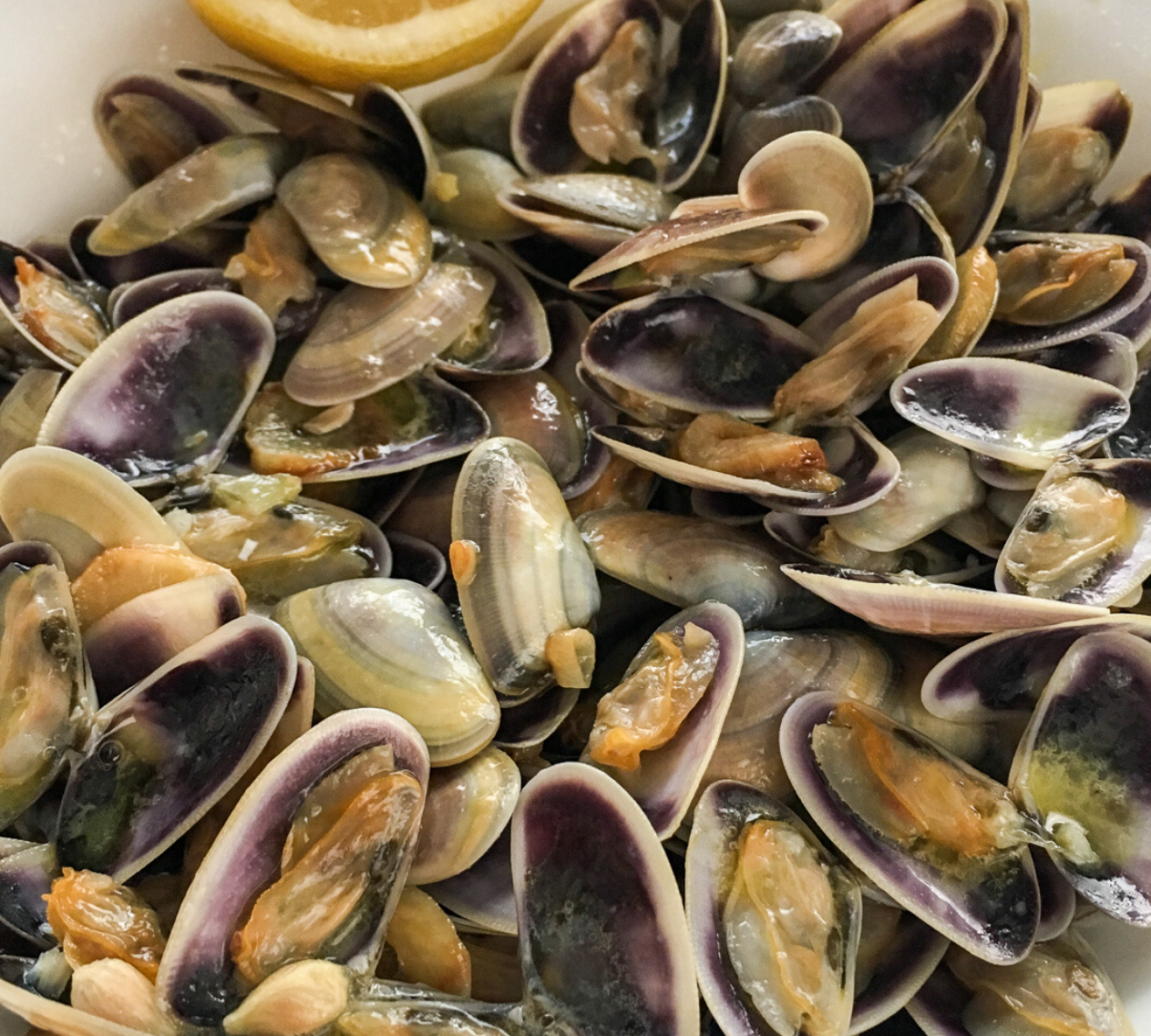 Small Clams