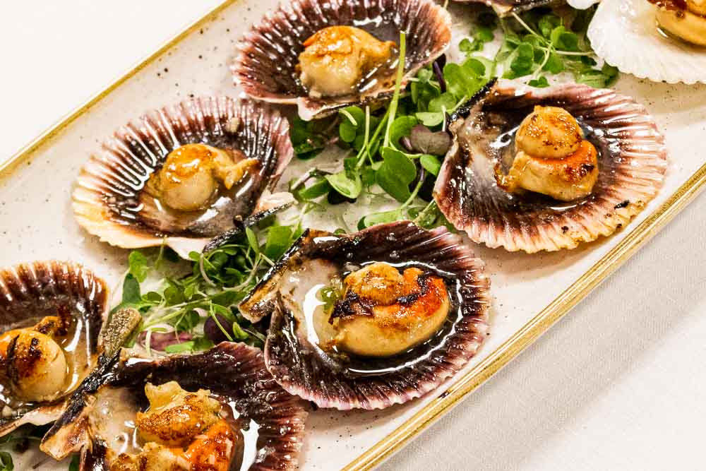 Grilled Scallops 