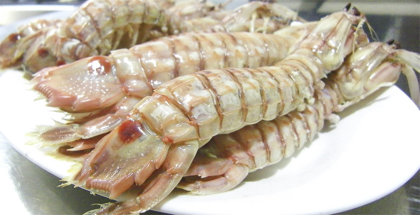 Crevette mante (Uniquement en saison)